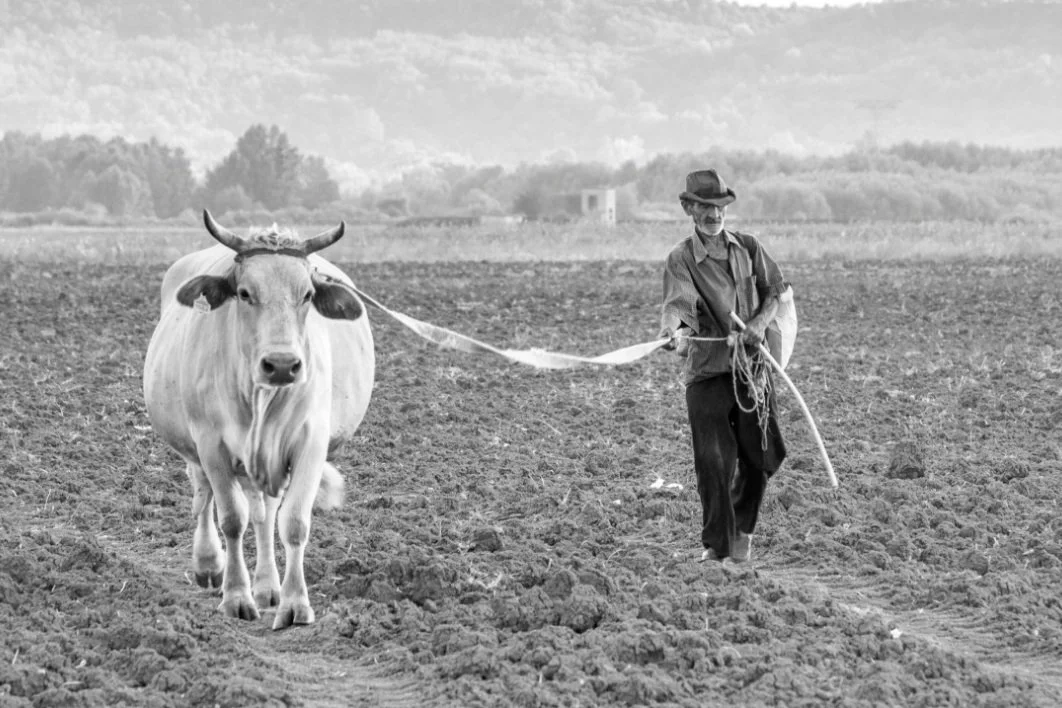 The Macroeconomic Impact of Artificial Intelligence and Quantum Computing: Are We Entering the AI or Quantum Epoch?